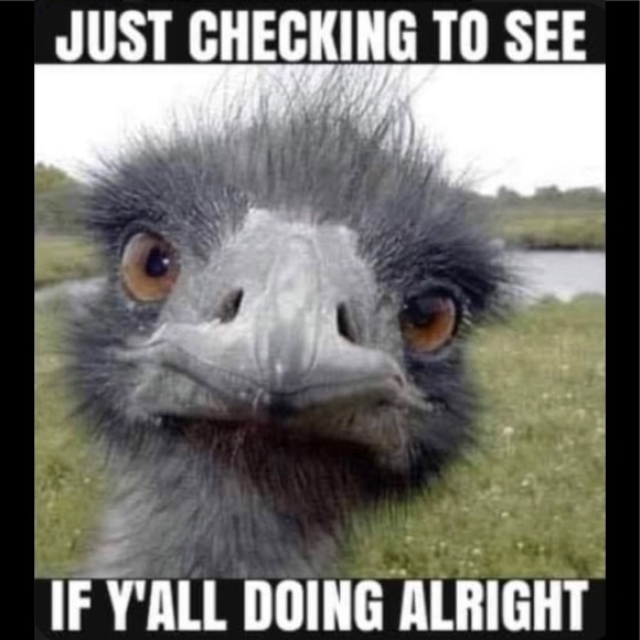 🌟CLOSED🌟 - Picture 2 of 15